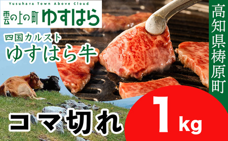 ቷłgƂ낯䂷͂狍 R}؂ 1kg@ a  ܐ؂ IC_ mY
