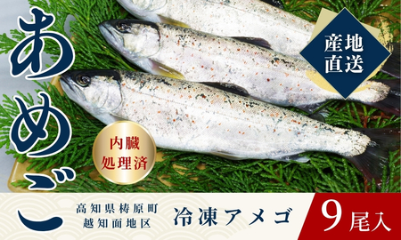 四万十川源流域の清流で育ったゆすはらアメゴ（９匹入り）　アメゴ アマゴ 四万十川 清流 手作業 急速冷凍 川魚 養殖 新鮮 塩焼き　ICT デジタル化