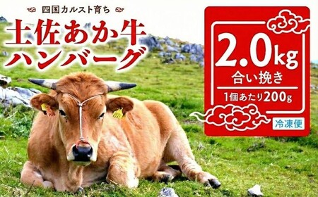 希少あかうし 土佐あかうし ハンバーグ 2.0kg 2kg 200g × 10個 合い挽きハンバーグ 冷凍 真空 小分け 個包装 肉汁 たっぷり 大容量 大きめ 合挽き 牛肉 豚肉 保存料 不使用 ビーフ ポーク 合いびき肉 挽肉 おかず 惣菜 晩ごはん 贅沢 お取り寄せ 肉 ギフト 人気 高知県 須崎市 お惣菜 はんばーぐ hannba-gu