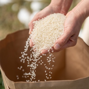 l\쌹̐炩Ȑňl\쐅n@܂Y