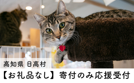[お礼の品なし]里親募集型 保護猫カフェの支援(動物愛護) 保護ねこ 保護猫 支援 里親 寄付 にゃんこメリー 保護猫活動 応援
