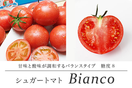 シュガートマト ビアンコ08（糖度8度以上） 1kg 高糖度 フルーツトマト