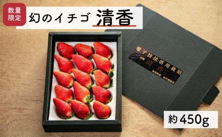 【先行予約・2026年2月】数量限定 いちご 清香 1箱（約450g） 希少品種 限定品 苺 産地直送 農家直送 甘い 大きい 果物 いちご 苺 イチゴ いちご