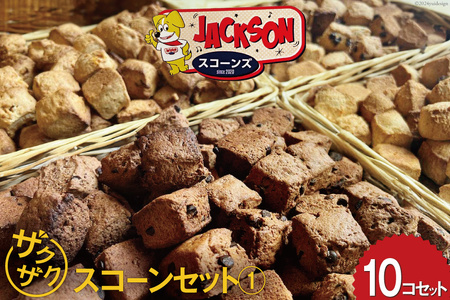 ザクザク スコーン オススメ10コセット(1) (プレーン チョコチップ 発酵バター キャラメルコーヒー ホワイトチョコクランベリー)各2個 計10個[JACKSONスコーンズ 高知県 津野町 26ab0001] お菓子 冷蔵