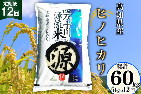 全12回 定期便 米 四万十川源流米・精米 5kg×12回 計60kg [JA高知県高西営農経済センター津野山経済課 高知県 津野町 26ah0009] お米 こめ おこめ 定期 毎月