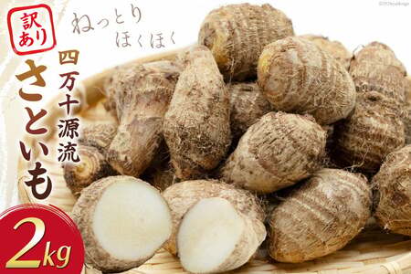 里芋 訳あり 小粒 2kg 四万十源流域栽培 [満天の星 高知県 津野町 26ac0016]