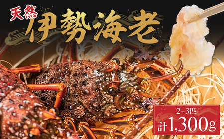 `Il\Y̓VRɐCV2`3Civ1300j^Dns-Z15 CN  ɐCV