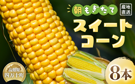 [2026年5月中旬ごろから配送!]朝もぎたてのスイートコーン 8本  トウモロコシ スイートコーン 新鮮 産地直送