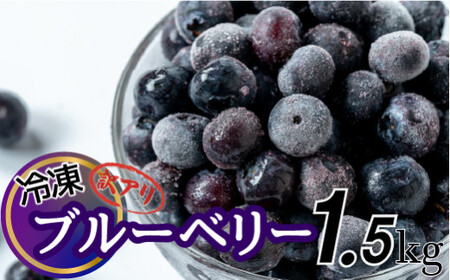 【訳アリ・大容量】シャーベット感覚！四万十町産【冷凍】ブルーベリー1.5kg／Cvs-09