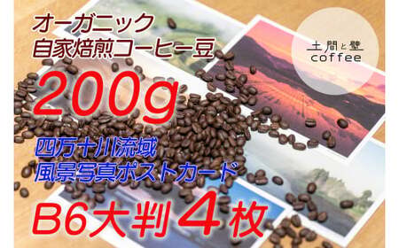 yI[KjbNR[q[200gz{yʐ^ƂBel\여B6唻|XgJ[h4z^Lip-01
