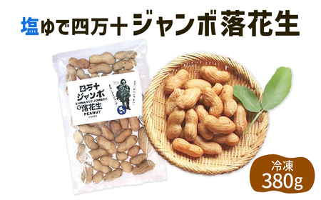 2024新豆 塩ゆで四万十ジャンボ落花生380g1個 こだわりの無農薬栽培!大きいだけじゃない!美味しさもジャンボ!ピーナッツ ピーナツ ジャンボピーナッツ おつまみ ビールのお供 国産 豆