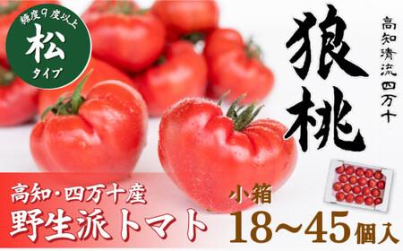 �y��s�\��^2026�N3�����{���甭���z�l���\�炿�u�T���v ���x9�x�ȏ� ���^�C�v �����i18�`45���j Fdf-09 �t���[�c�g�}�g �g�}�g