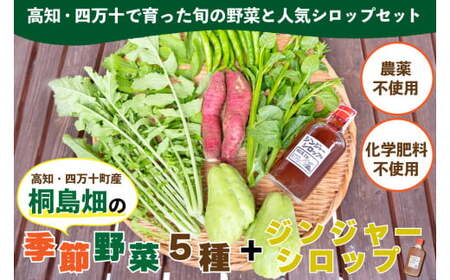 【栽培期間中、農薬・化学肥料不使用】桐島畑の季節野菜(5種類)＋ジンジャーシロップ1本 Fkh-11 ／ やさい 国産野菜 四万十 高知 季節 フレッシュ 旬 無農薬 有機農業 生姜 粗糖 温活 ジンジャーエール ホットジンジャー