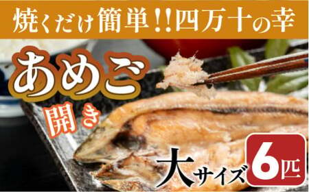 焼くだけ簡単！無投薬で四万十育ちのあめごの開き　大サイズ6匹 Eay-05　おつまみ バーベキュー BBQ アウトドア アメゴ 魚 魚介 川魚 塩焼き　あまご　開き　干物 干物 干物 干物 干物 干物