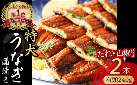 うなぎ蒲焼 [有頭]特大240g(2本入り) 冷凍 たれ付き 蒲焼 国産 鰻 ウナギ うなぎ 蒲焼き 肉厚 土用の丑の日 高知鰻 本格うなぎ 山椒付き 四万十うなぎ うなぎ蒲焼うなぎ蒲焼うなぎ蒲焼うなぎ蒲焼