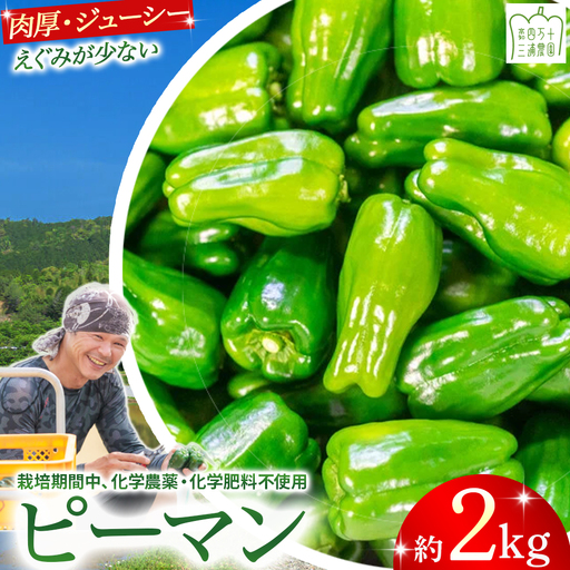 【予約受付】肉厚ジューシー！栽培期間中化学農薬・化学肥料不使用のえぐみ少ないピーマン2kg ／Fms-14 農産物 新鮮 肉厚ピーマン 野菜 大量