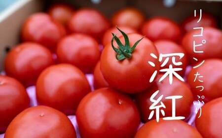 赤さがリコピン満載の証!四万十産トマト「深紅」4kg(1箱24〜55玉)/Fbg-006