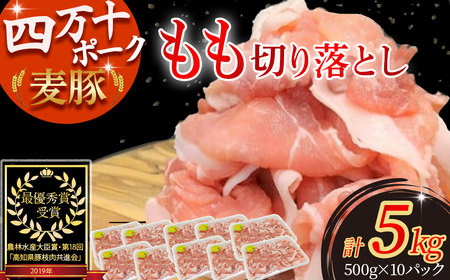 싦{Ýu؁v ؂؂藎Ƃ 5kgi500g×10pbNj Ahc-15 싦{Y  ؂藎Ƃ l\|[N Y Ԃ ؓ    Yؓ YԂ Ⓚ  IĂ