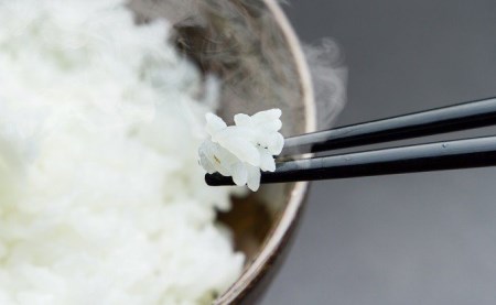 [12ヵ月定期便]こだわりの無洗米でおいしく簡単!「仁井田米にこまる」5kg/Rbos-02