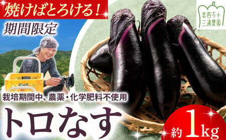 【期間限定】 焼いてトロける！三浦農園のトロなす1kg 栽培期間中農薬・化学肥料不使用 ／Fms-15 農産物 新鮮 ナス なす 茄子 焼きナス 野菜 大量 農薬不使用 化学肥料不使用