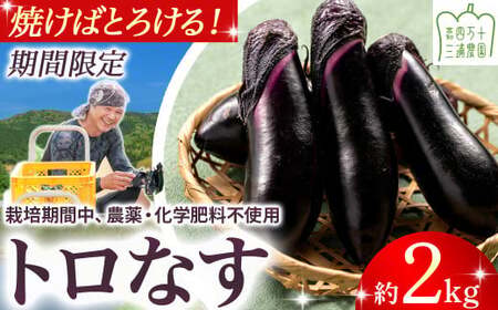 【期間限定】 焼いてトロける！三浦農園のトロなす2kg 栽培期間中農薬・化学肥料不使用 ／Fms-16 農産物 新鮮 ナス なす 茄子 焼きナス 野菜 大量 農薬不使用 化学肥料不使用