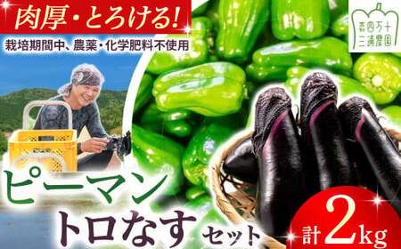 【期間限定】 ピーマン・トロなすセット 2kg（各1kg） 栽培期間中農薬・化学肥料不使用 ／Fms-17 農産物 新鮮 ぴーまん ピーマン 肉厚ピーマン ナス なす 茄子 焼きナス 野菜 大量 農薬不使用 化学肥料不使用