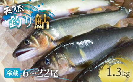 yjIIցIzl\㗬̓VRނ舼 1.3kgy①6`22zywsz A   싛 Ă ①  Ă VR Esj-33k