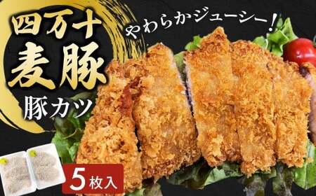 四万十麦豚 豚カツ (約100g×5枚)平野協同畜産 豚肉 麦豚 四万十麦豚 ブランド豚 トンカツ 豚カツ 冷凍カツ 豚ロース 背ロース