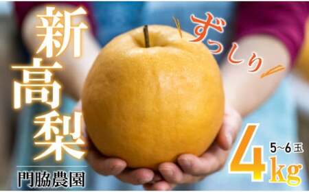 ʌ V 4kg (5`6) e_  Ckn-A004