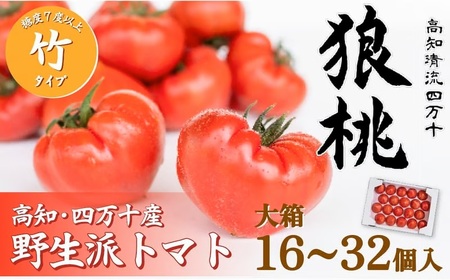 �y��s�\��^2�����{���甭���z�l���\�炿�u�T���v ���x7�x�ȏ� �|�^�C�v �唠�i16�`32���j Fdf-11 �t���[�c �g�}�g �Ƃ܂� ��� ���ʌ��� ���Ԍ���