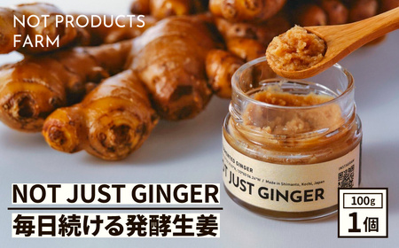 四万十生姜×特許乳酸菌 毎日続ける発酵生姜 「NOT JUST GINGER」 しょうが ショウガ 生姜ペースト /