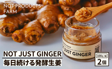 四万十生姜×特許乳酸菌 毎日続ける発酵生姜 「NOT JUST GINGER」 2個入り しょうが ショウガ 生姜ペースト ／ Fnp-04