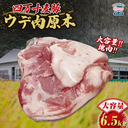 【期間限定】四万十麦豚 ウデ肉原木 約6.5kg／Ahc-27 肉 豚肉 ブランド豚肉 原木肉 ブロック肉 ウデ 四万十町 冷凍 麦豚 とんかつ バーベキュー チャーシュー