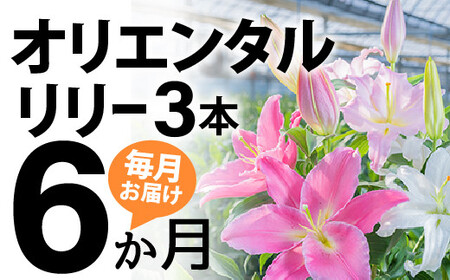 [6回分]毎月届くオリエンタルリリー3本の定期便