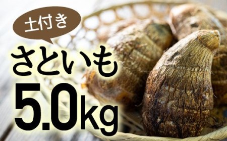 l\Y yt Ƃ 5.0kg ^Fiz-06 
