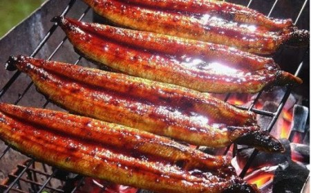 四万十うなぎ蒲焼き【200g x 2本】 Esu-39