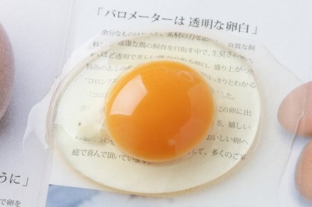 コロンブスの茶卵「卵かけご飯セット」/Gbn-01