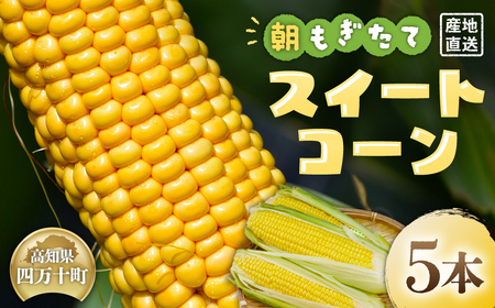 [2026年5月中旬ごろから配送開始!]朝もぎたてのスイートコーン 5本  とうもろこし スイートコーン 新鮮 産地直送