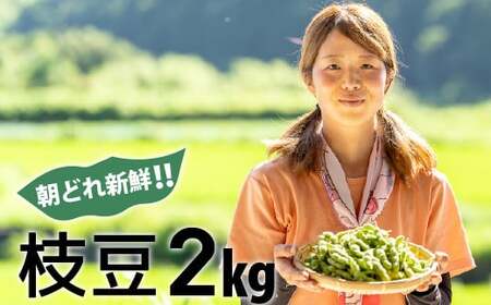 新鮮お届け!夏の味覚「枝豆」たっぷり2kg / Fiz-08
