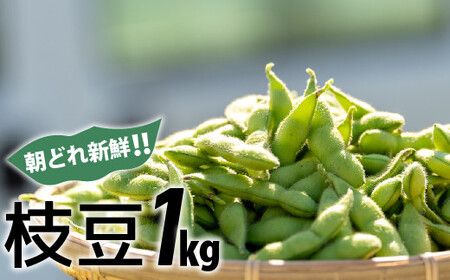 新鮮お届け!夏の味覚「枝豆」おてごろ1キロ / Fiz-A07