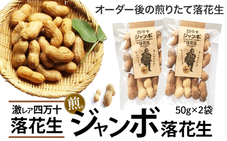 V@AIl\W{藎Ԑ 肽ăI[_[^Fsy-A08