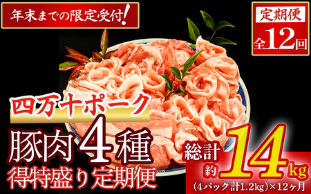 [2026年1月から毎月お届け]ブランド豚 ★得特盛り★ 定期便 (1.2kg×12回) Rgbn-B01 頒布会 国産 ぶた肉 豚肉 肉 お肉 国産豚肉 国産ぶた肉