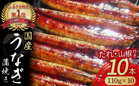 うなぎ蒲焼き（10本セット） うなぎ うなぎ蒲焼 高知うなぎ 国産うなぎ うな重 鰻 国産鰻 高知鰻 冷凍鰻 鰻蒲焼 四万十うなぎ 土用の丑の日 ／Esu-117