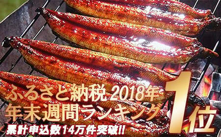 四万十うなぎ蒲焼き【200g x 2本】／Esu-39 | 高知県四万十町