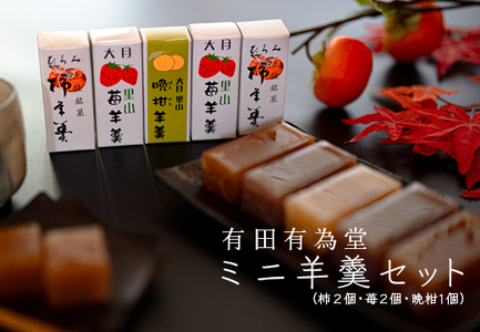 [大月の銘菓]ミニ羊羹セット(5本入)