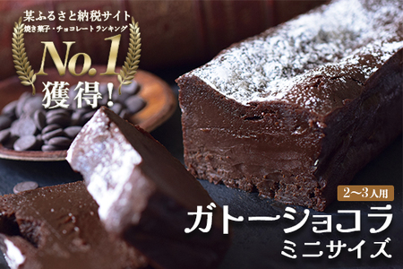 [小麦粉不使用]濃厚ガトーショコラ ミニ ベルギー産クーベルチュール しっとり おすすめスイーツ