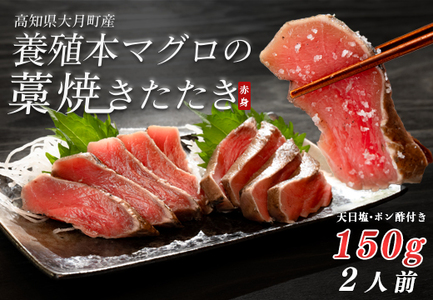養殖本マグロの藁焼きたたき 赤身