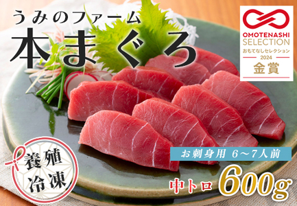 Y {B{}O g600g hgp Ⓚ  Mtg  Yn CN i Ε