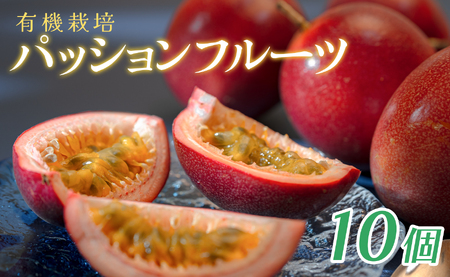 パッションフルーツ 10個 栽培期間中農薬不使用 有機肥料 南国フルーツ トロピカルフルーツ