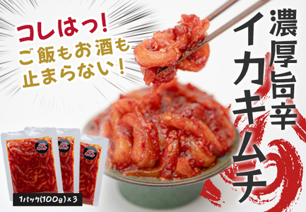 濃厚旨辛 イカキムチ 100g×3パック 海鮮キムチ ご飯のお供 おつまみ 冷凍キムチ 旨辛 珍味